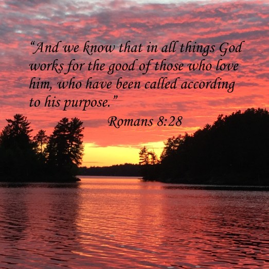 Romans828